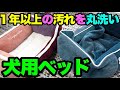 気を紛らわせるために犬用ベッド洗ったら見違えるほど綺麗になった