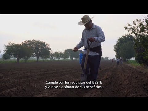 Reforma a la