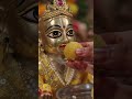 laddu Gopal #ytshorts #foryou #song #motivation #kanayon #sorts #kansan#bhaktisong #swaggy #hypedup