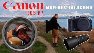 Canon Eos R7  мои впечатления. Фотоаппарат для фотоохоты.