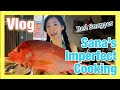 Vlog sanas imperfect cooking red snapper