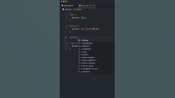 CSS Pseudo Classes Explained - #2 disabled