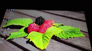 Dell U2719D Viewing Angles