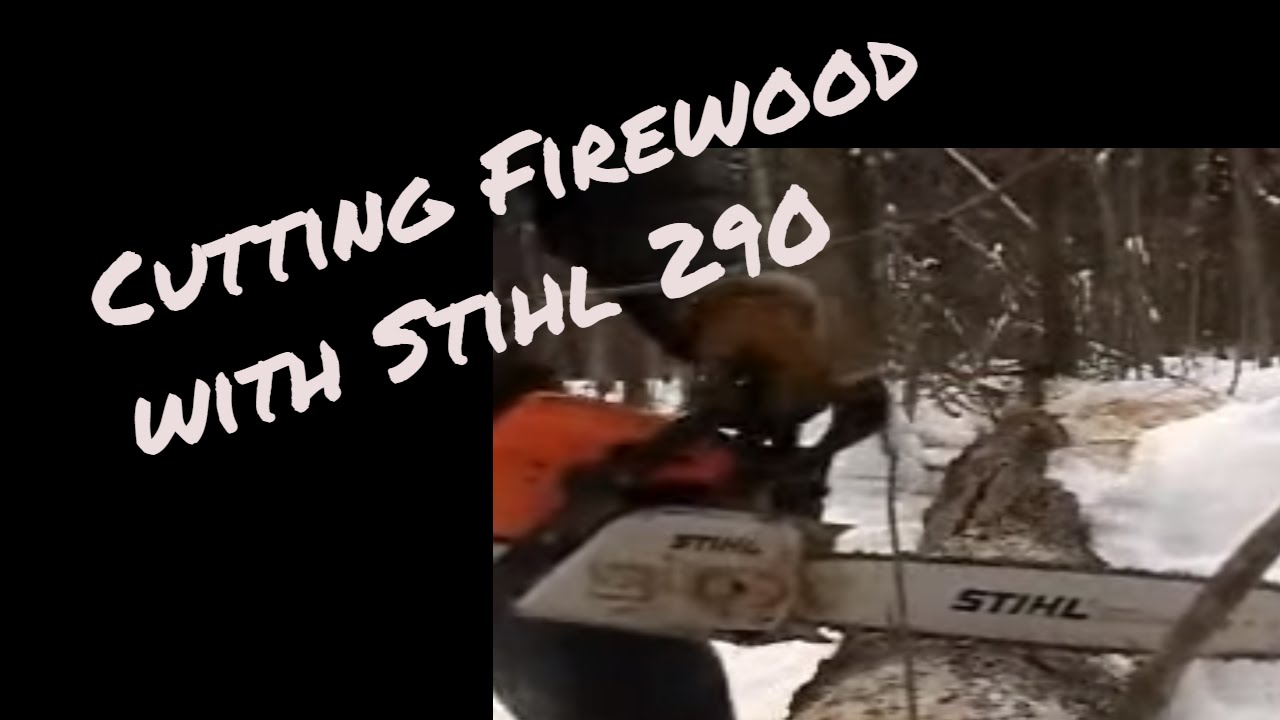 Cutting firewood with my Stihl chainsaw - YouTube