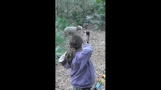 Ella and the bear,using a Bear Apprentice Compound