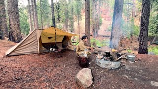 Solo Camping in Heavy Rain, Campfire Guitar, Open Fire Steak