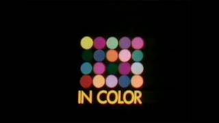 Celebrity NET "In Color" / NET (1969, Opening) Net Worth