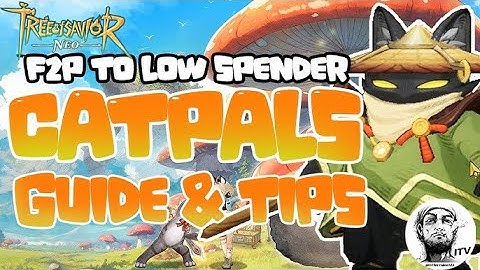 TREE OF SAVIOR NEO | The Ultimate Guide on CATPALS | ALL YOU NEED TO KNOW | STEP BY STEP GUIDE