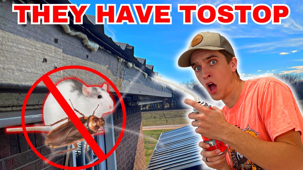 This is way Worse than I ever thought! - YouTube