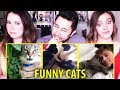 FUNNY CATS 2015 | Vine Compilation | Best Vines | Try Not To Laugh | Reaction!