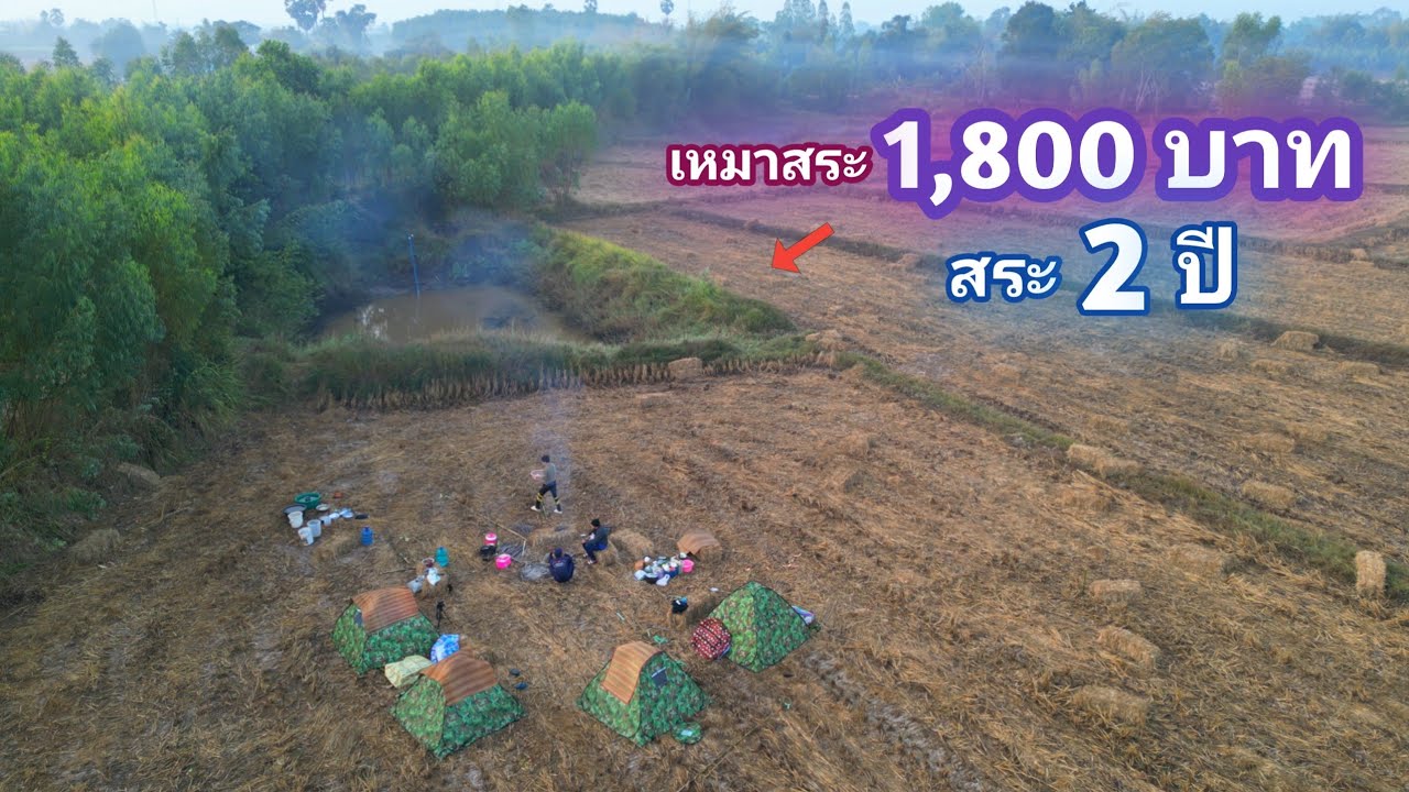 เหมาสระ 1,800 บาท สระ 2 ปี สระเล็ก ราคาสูง เเสดงว่าเเถวนี้ ไม่ธรรมดาเเน่ / บ้านนอก EP.845