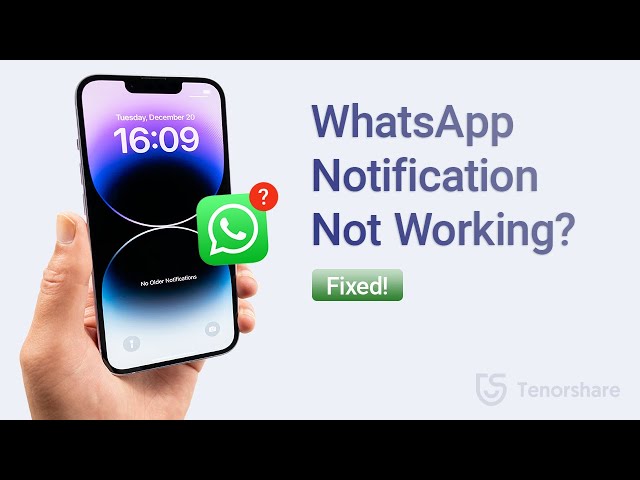 Notifikasi WhatsApp Tidak Berfungsi? Inilah Cara Memperbaikinya class=