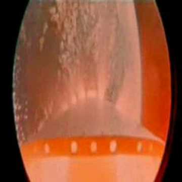 Chaos Rules The World