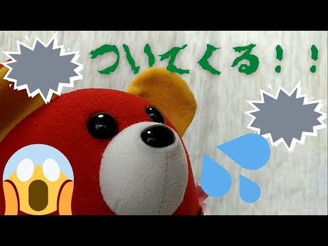 Plush Doll. Bear stalker. puppet show