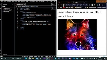 Como colocar e redimensionar imagem numa pagina html