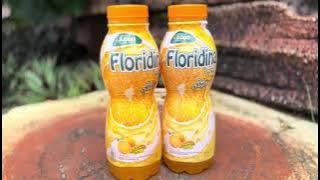 Download lagu Iklan floridina|bahasa Indonesia