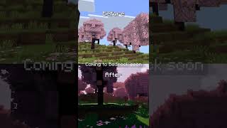 I'll never play without this texture pack again.#minecraft #bedrock #texturepack #addon #mcpe #fyp