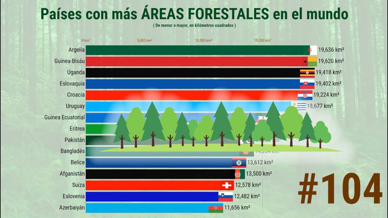 Países con más ÁREAS FORESTALES en el mundo YouTube