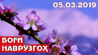 Боғи Наврӯзгоҳ / Сад Наврузгох / Nowruzgoh Garden