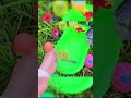 Catch beautiful aquarium fish in small pond baby turtles, eel, pencil fish, glass guppy, nemo, crabs