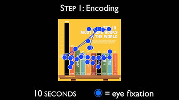 Cognitive research on data visualizations