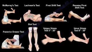 Tests For  Examination  Of The Knee