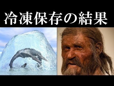 衝撃 氷の中から発見された神秘の生命体４選 氷漬けの男女 マンモスも Youtube