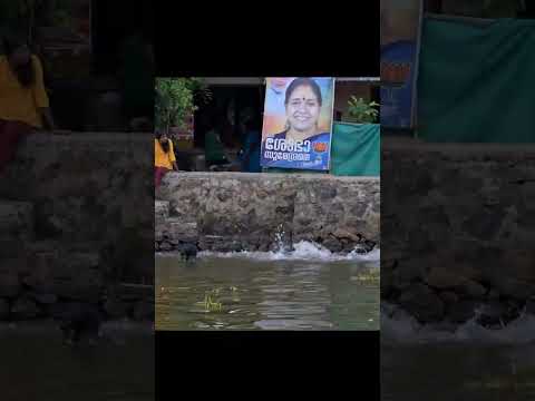 Exploring The Stunning Backwaters Of Vembanad Lake In Cochin, India! Video Thumbnail