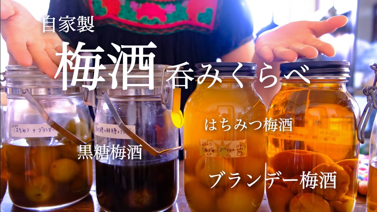 自家製梅酒 呑みくらべしてみた はちみつ梅酒 黒糖梅酒 ブランデー梅酒などなど Youtube