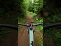 Flow state through the forest!