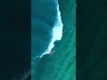 Sea La Vie 🌊