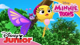 Minnie Toons: Acampamento Minnie | Borboleta Bebé Saltitante