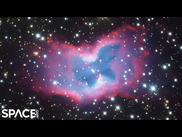 【G5943】COSMIC BUTTERFLY/DOOSYCOOKIE G5943】COSMIC BUTTERFLY/DOOSYCOOKIE Amazon.com: butterfly