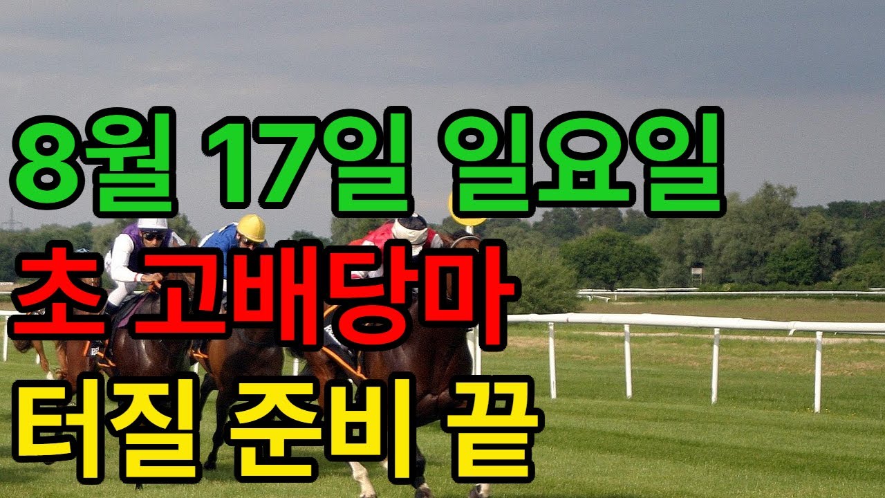 8월 17일 일요일 경마~중후반 폭발력, 이번 경주 숨은 복병은ㅣ승전경마 전문가의 이변 포착” l 경마 l 경마정보 l 경마예상 l 코리아레이스 l 검빛경마