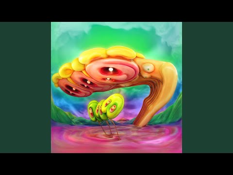 felicita — ForeS Hopi