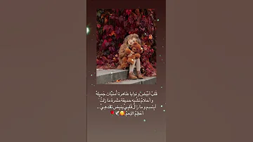 حالات واتساب ستوريات انستا بدون حقوق ستوري انستا حالات واتس اب 