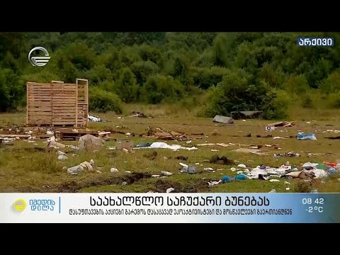 საახალწლო საჩუქარი ბუნებას -  გარემოს დასაცავად ეკოაქტივისტები და მოსწავლეები გაერთიანდნენ