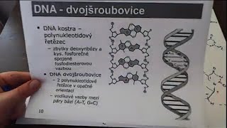 40. lekce chemie - Co to je #DNA a #RNA, Chemická podstata #GENETICKÉ informace.. využítí D- RIBOSY