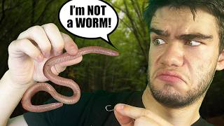 Is it a WORM or a LIZARD?