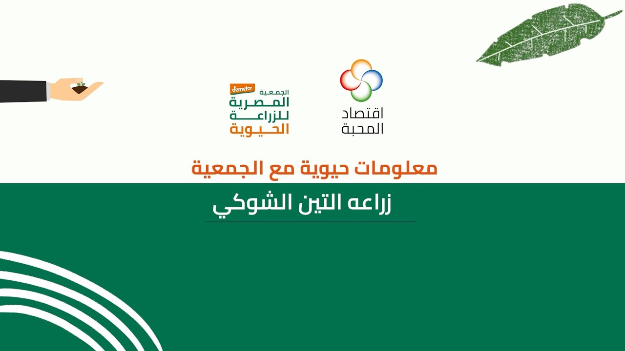 زراعه التين الشوكي