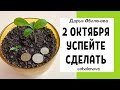 2 ОКТЯБРЯ две полные ЛУНЫ избавят от финансовых проблем, полнолуние, ритуал на деньги