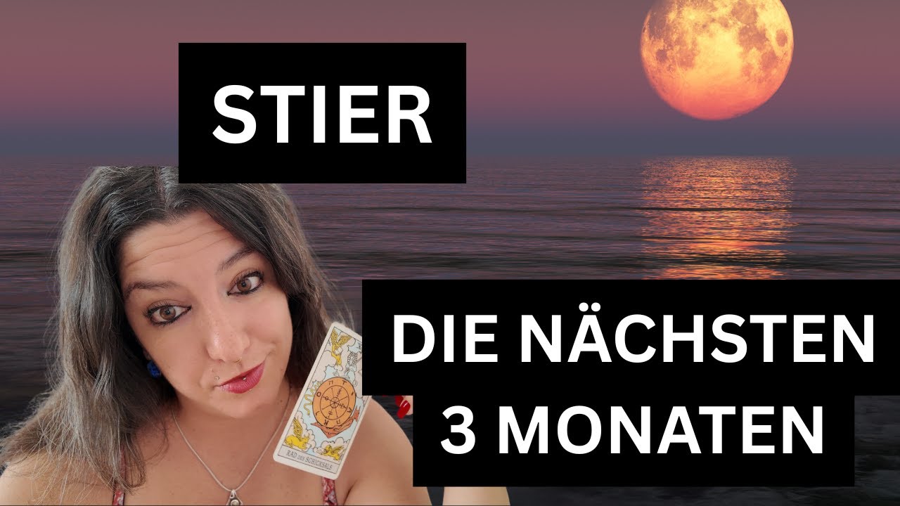STIER | DER GROSSE SCHRITT NACH VORNE!!