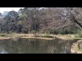 国立科学博物館附属自然教育園　20150322 の動画、YouTube動画。