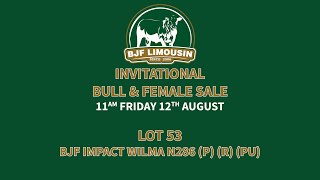LOT 53 BJF IMPACT WILMA N286 (P) (R) (PU)