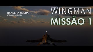 Project Wingman Detonado PT-BR | Missão 1: Bandeira Negra