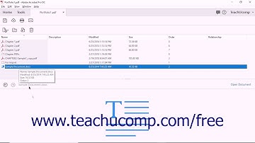Acrobat Pro DC Tutorial Using Details View- Adobe Acrobat Pro DC Training Tutorial Course