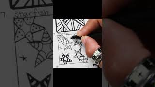Starfish Zentangle Pattern