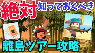 あつ森の離島ツアーで必ずやるべき事まとめ！レア島の種類や注意点、魚や虫の売値も紹介（他：タランチュラ無限島や竹の入手方法など）【あつまれどうぶつの森 攻略】