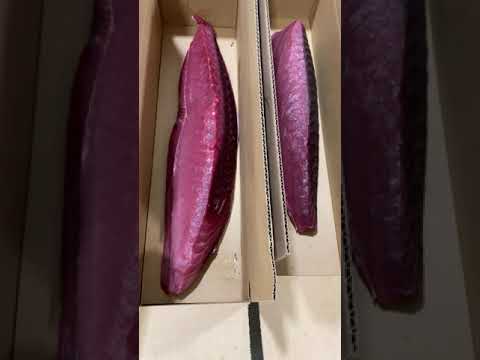 Komolo Fresh Tuna 08 31 2020