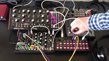 Moog Mother-32, Make Noise 0 Coast, Korg SQ-1 Jazz Groove